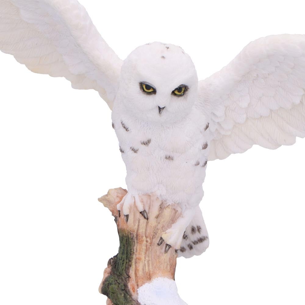 Snowfall Majestic Owl In Winter Scene 18cm