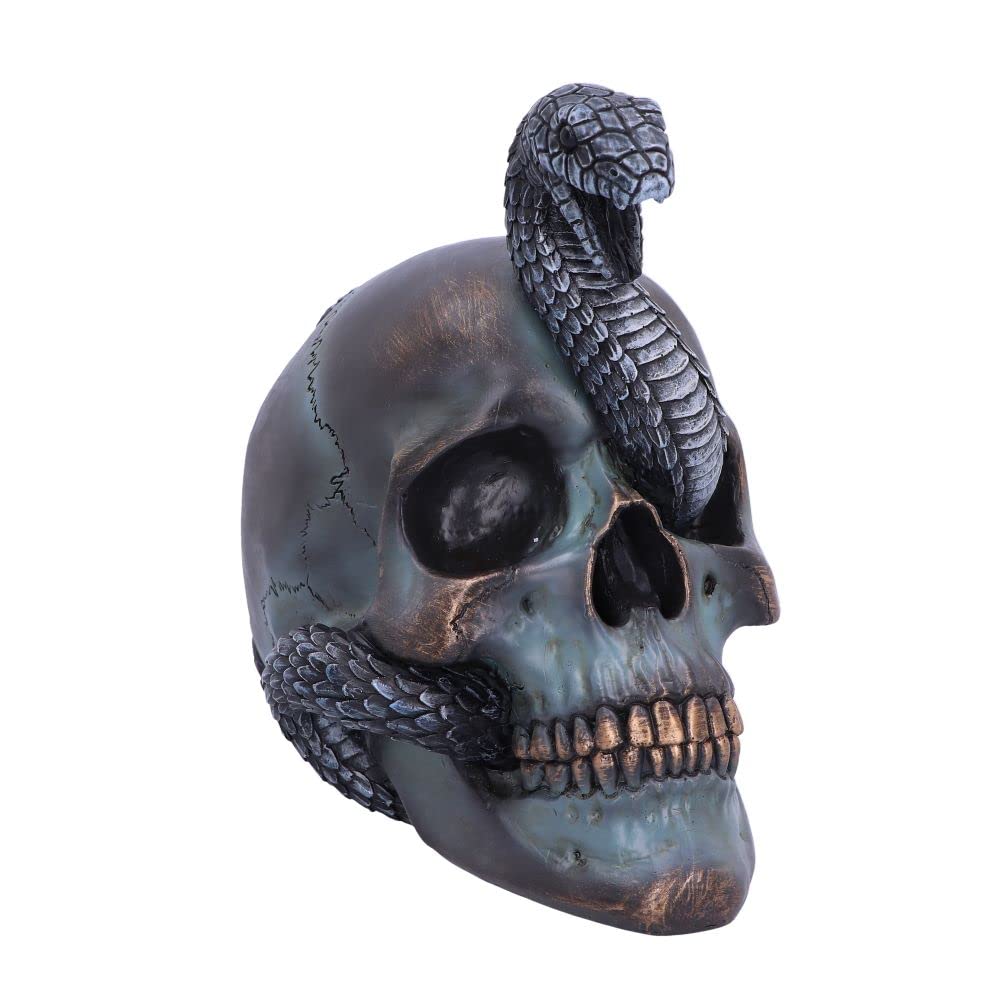 Serpentine Fate Gothic Snake Skull 19cm