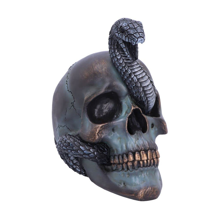 Serpentine Fate Gothic Snake Skull 19cm