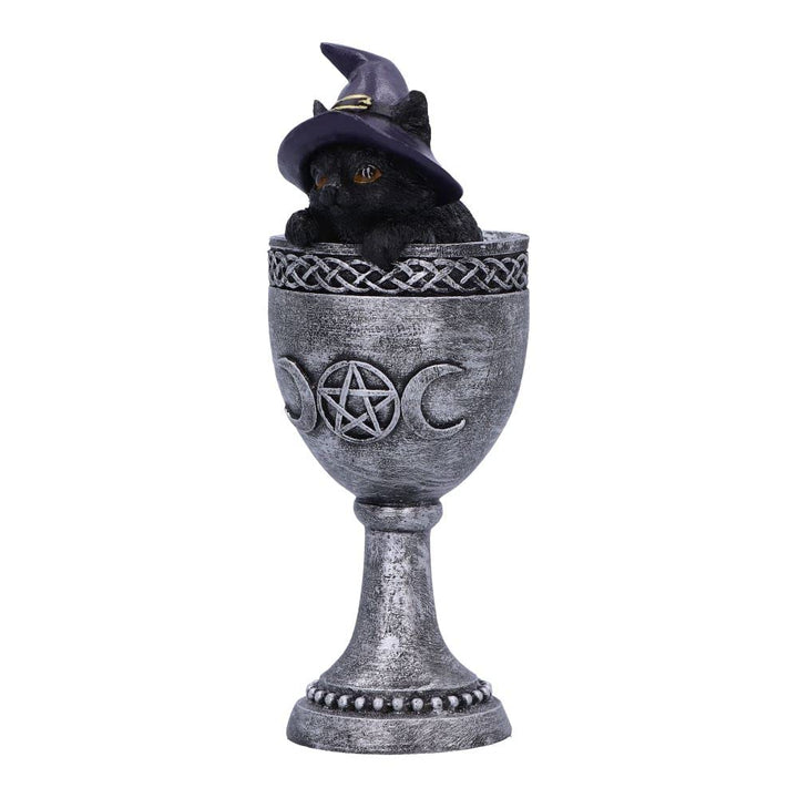 Coven Cup Black Cat Ornament 15.7cm