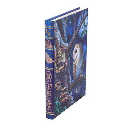 Lisa Parker Fairy Tales Journal 17cm 7