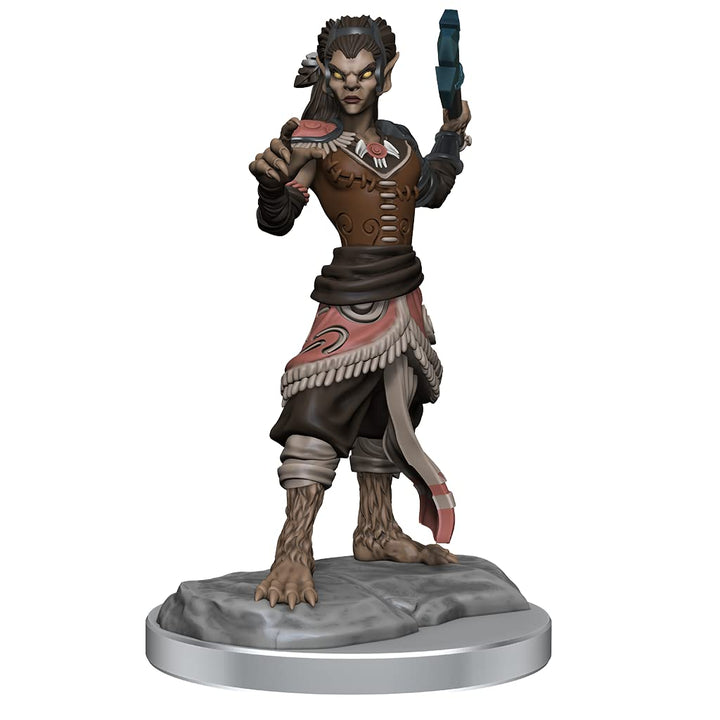 Shifter Fighter: D&D Nolzur's Marvelous Unpainted Miniatures (W20) 2