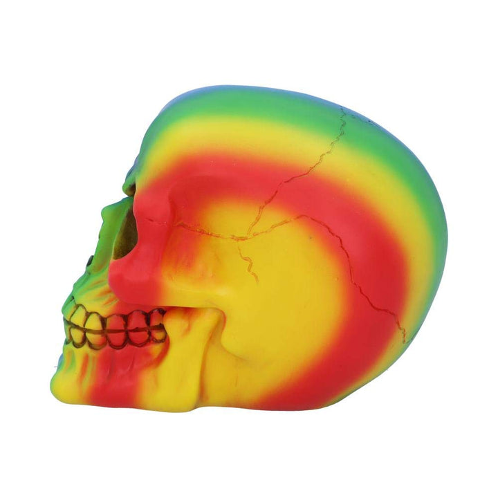 Rainbow Skull 15.5cm