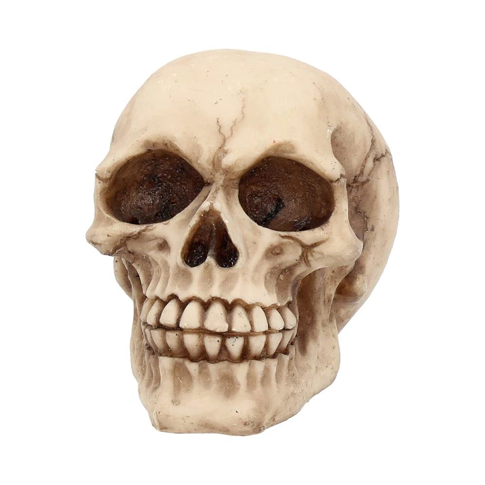 Joker Skull Ornament 12cm 3