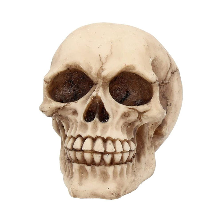 Joker Skull Ornament 12cm