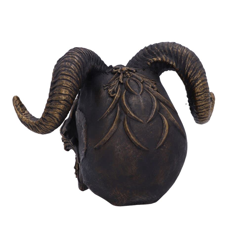 Diabolus Horned Skull 18cm