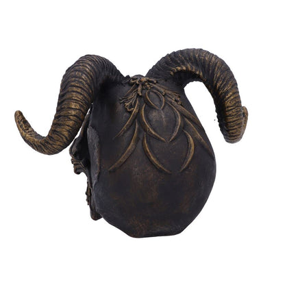 Diabolus Horned Skull 18cm 5
