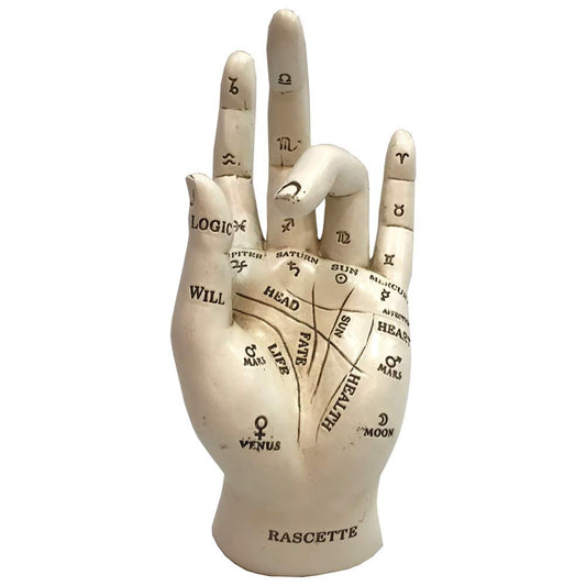 Palmistry Chriomancy Fortune Telling Hand Figurine 17.7cm 2