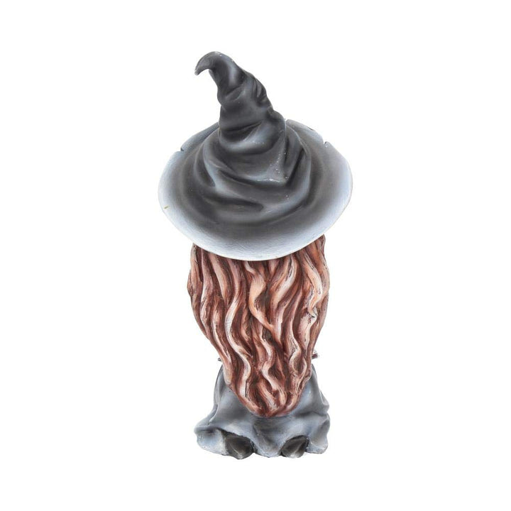 Regan Witch Her Raven Figurine 15cm
