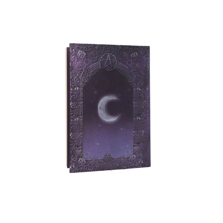 Embossed Black Cat Witches Spell Book A5 Journal with Pen P6