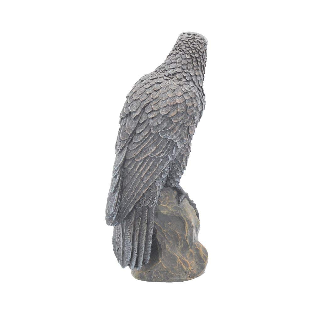 Ravens Rest Figurine Gothic Bird Ornament 16cm
