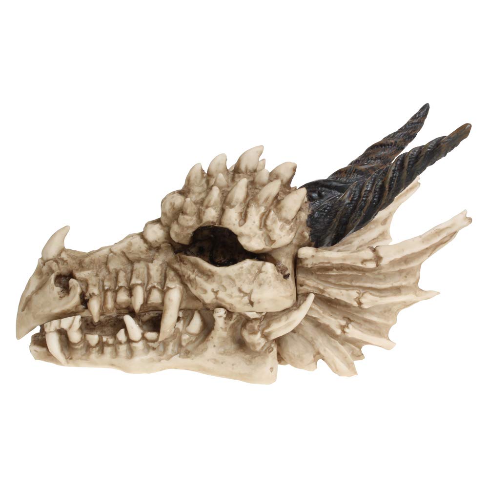 Fantasy Gothic Dragon Skull Trinket Box 20cm