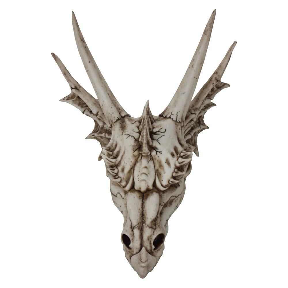 The Last Dragon Skull Realistic Reptile Skeleton Head 32cm 1