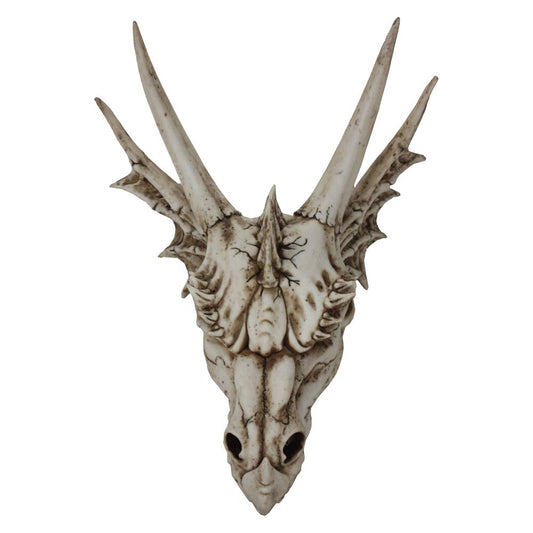 The Last Dragon Skull Realistic Reptile Skeleton Head 32cm 1