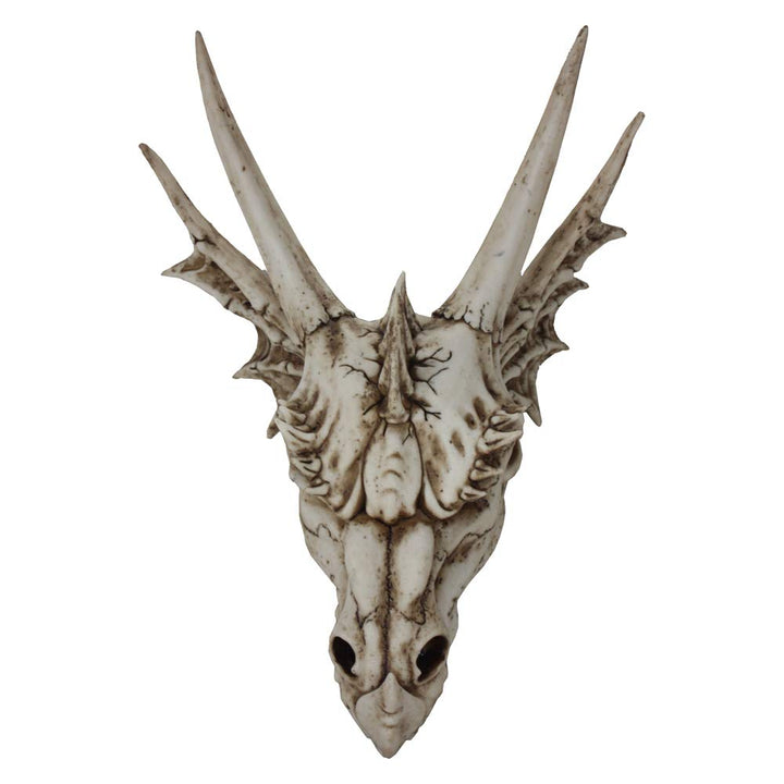 The Last Dragon Skull Realistic Reptile Skeleton Head 32cm