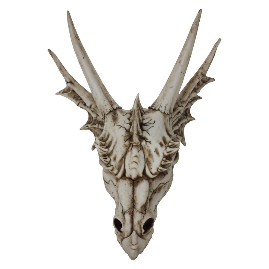 The Last Dragon Skull Realistic Reptile Skeleton Head 32cm 1