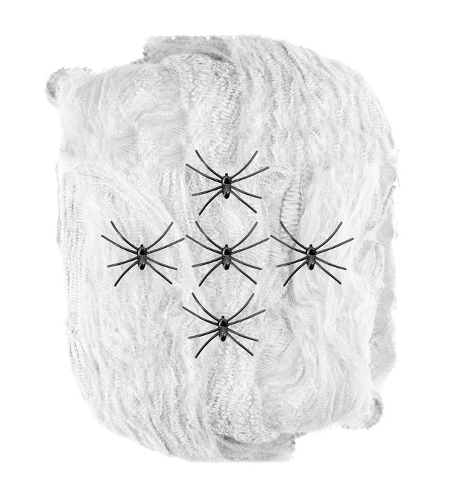 100 G White Spiderweb With 5 Spiders