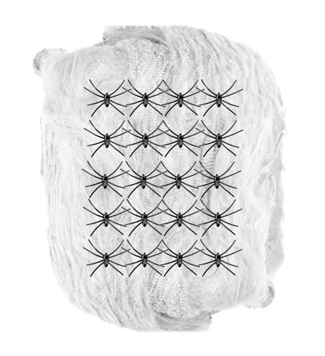 500 G White Spiderweb With 20 Spiders