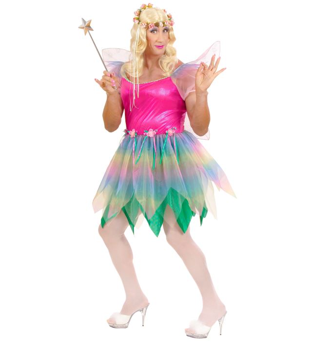 Fairy  Dress, Wings 