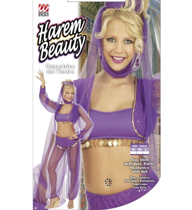 Harem Beauty  Top, Shirt With Vest, Pants, Headpiece With Veil 