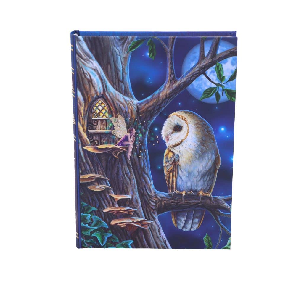 Lisa Parker Fairy Tales Journal 17cm 2