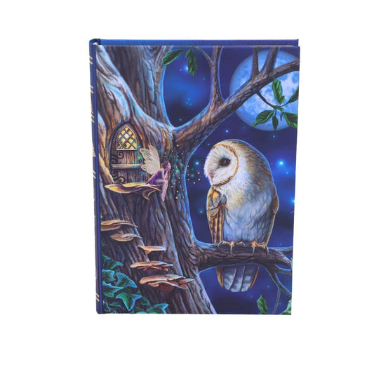Lisa Parker Fairy Tales Journal 17cm 2