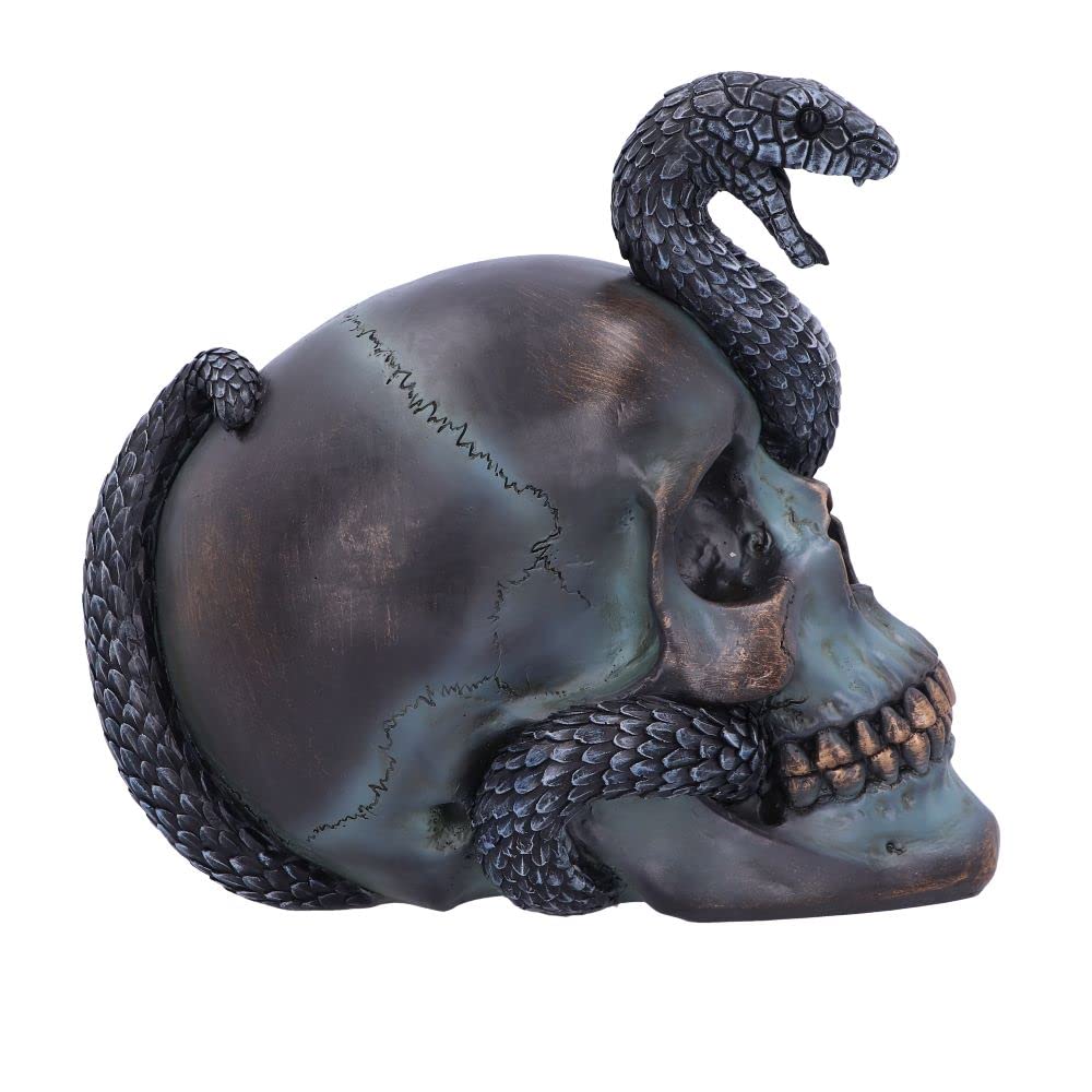 Serpentine Fate Gothic Snake Skull 19cm