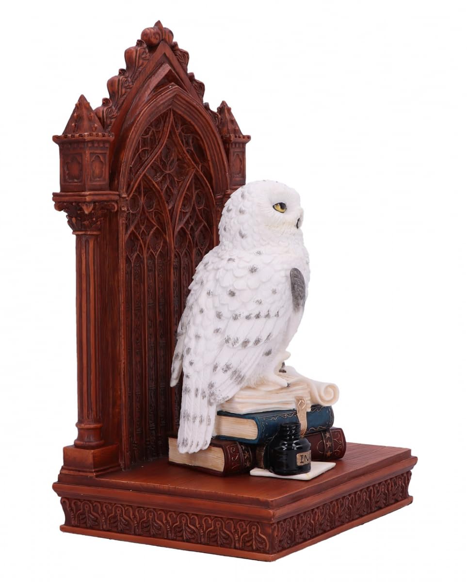 The Scribes Companion Enchanting Owl Ornament Scribes 23.5cm 5