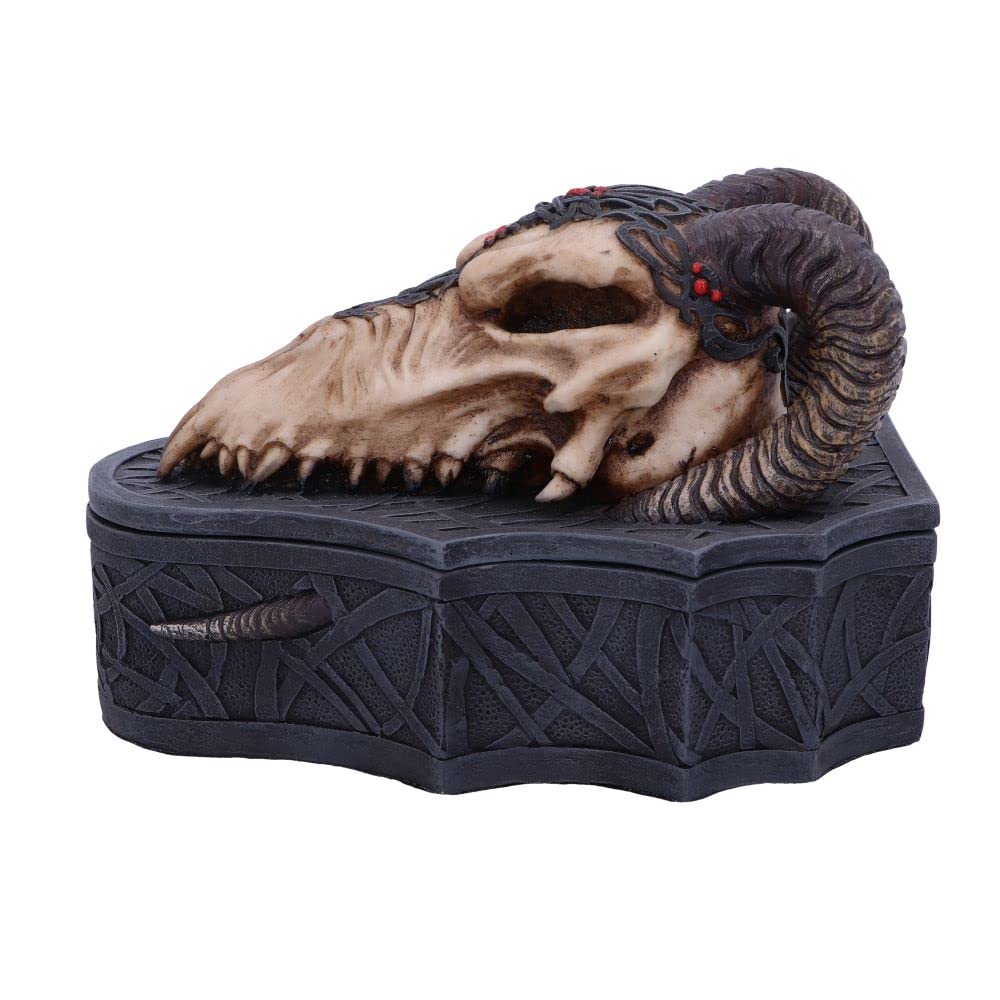 Dragon Skull Box Monte Moore 17.7cm 2