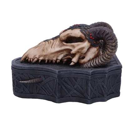 Dragon Skull Box Monte Moore 17.7cm 2