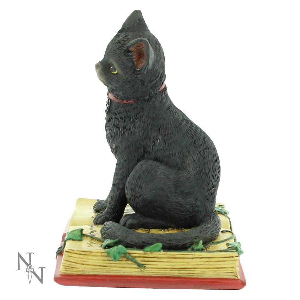 Eclipse Cat Spell Book Figurine Wiccan Witch Gothic Ornament 12cm