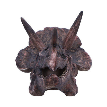 Triceratops Skull Resin Replica 14.5cm 2