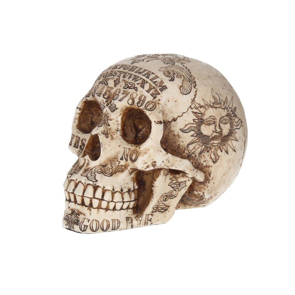 Voodoo Spirits Commune Skull 20cm 3