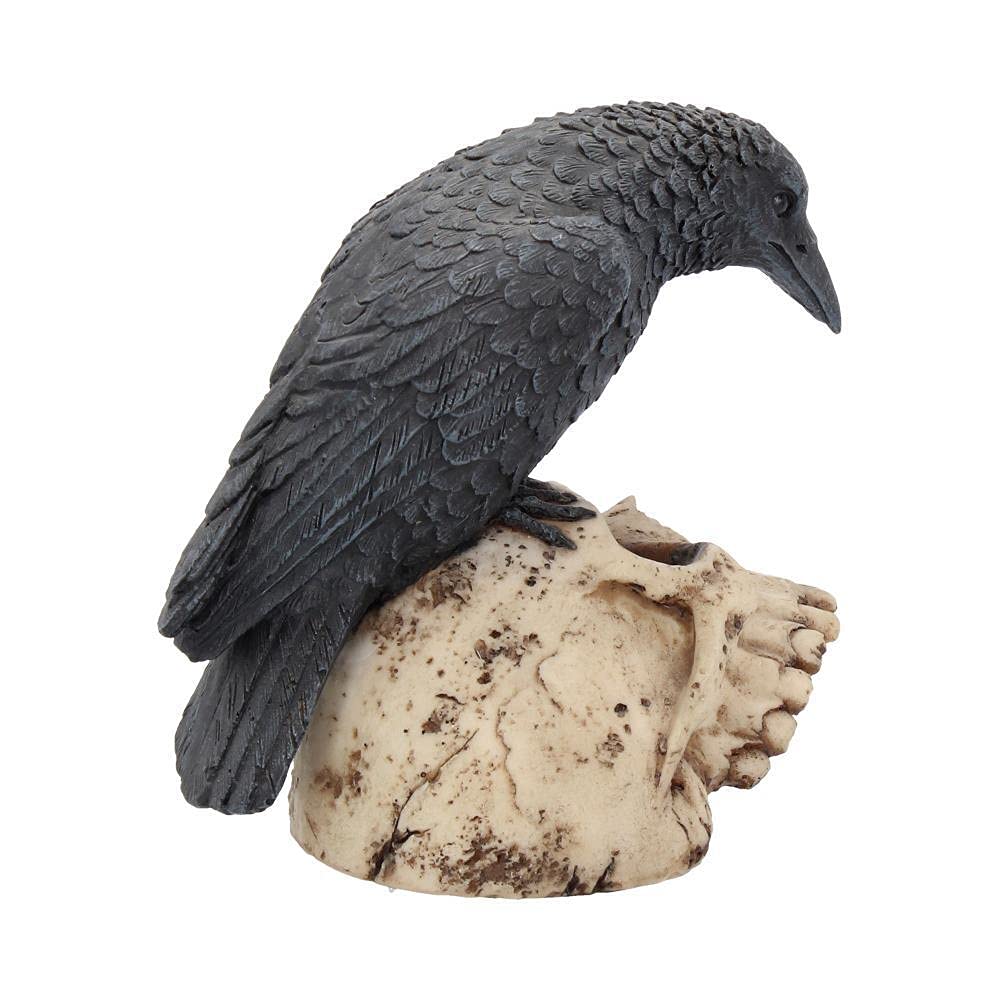 Raven Remains Figurine Crow Skull Gothic Ornament Ravens 13cm