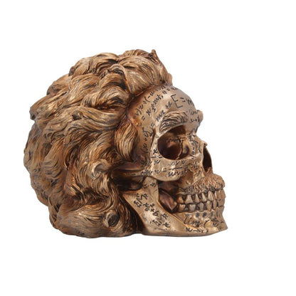 The Theory of Relativity Bronze Einstein Skull 21cm 6