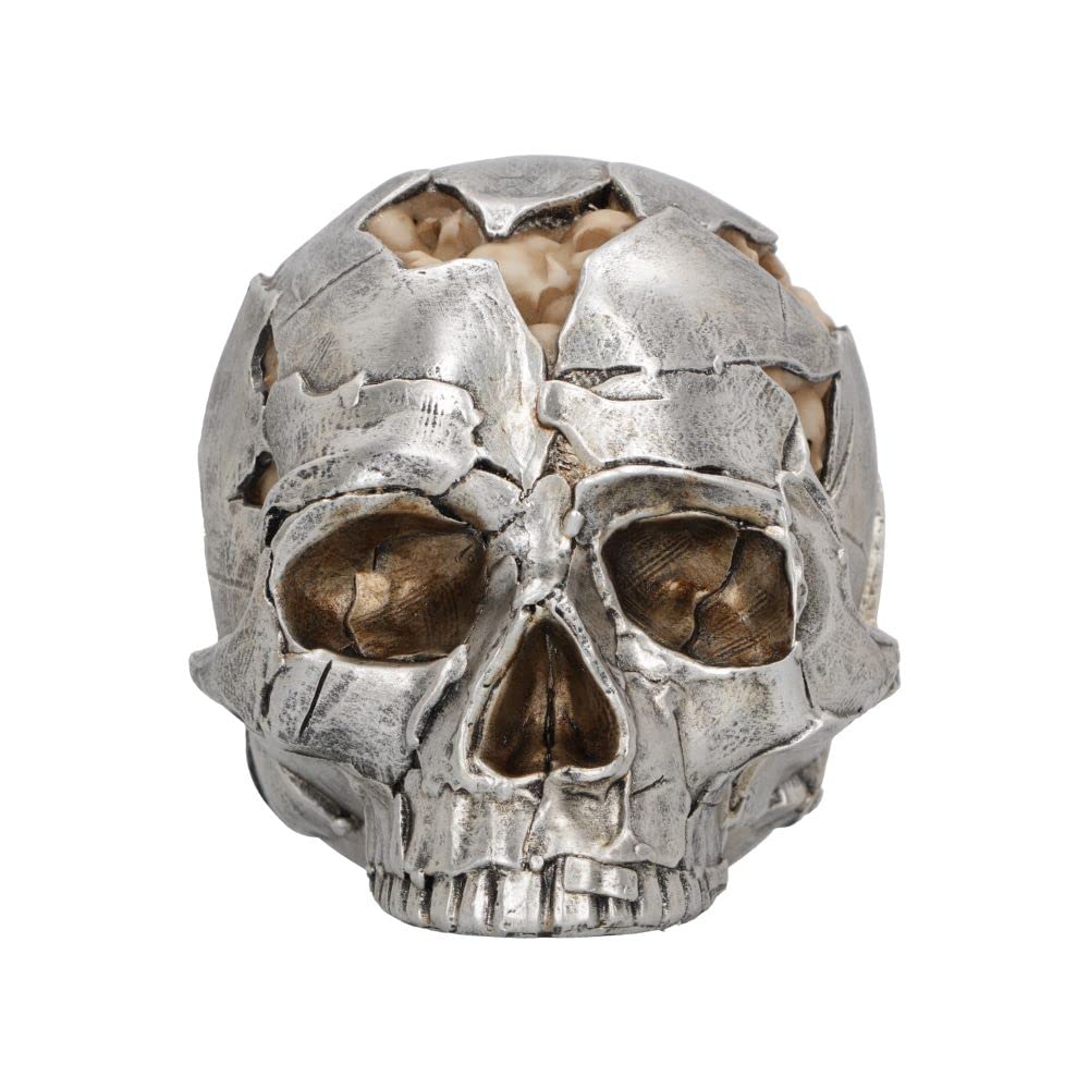 Large Alternative Fracture Skull 16cm 3
