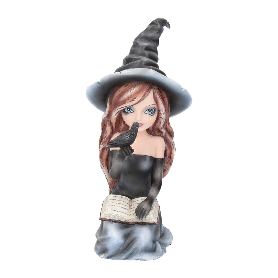 Regan Witch Her Raven Figurine 15cm