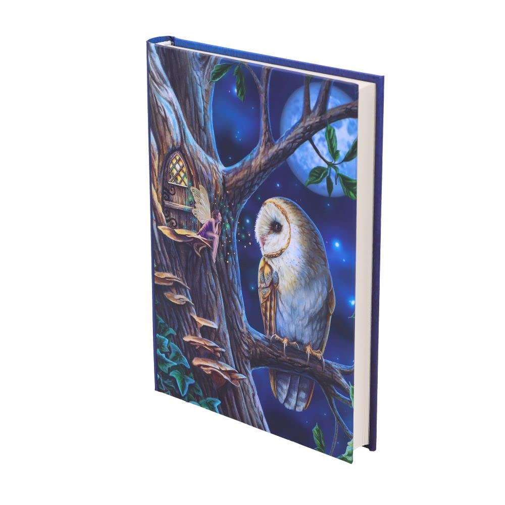 Lisa Parker Fairy Tales Journal 17cm 3