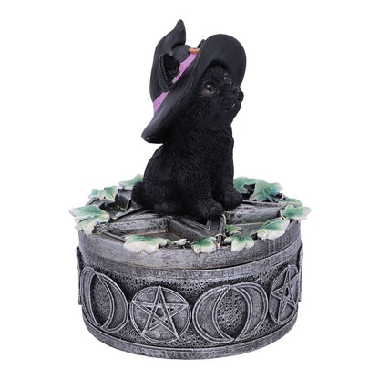 Ivy Familiar Box 15cm 6