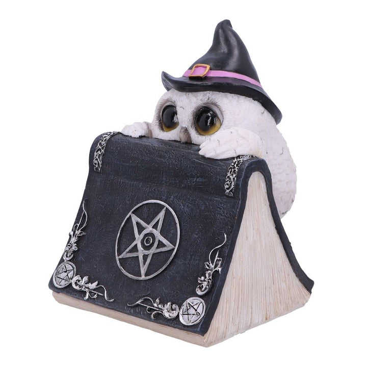 Owl with book Figurine 15cm Owls Spell