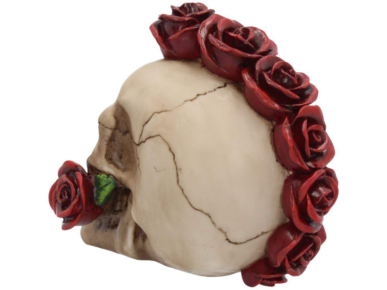 Rosehawk Skull 16cm 5