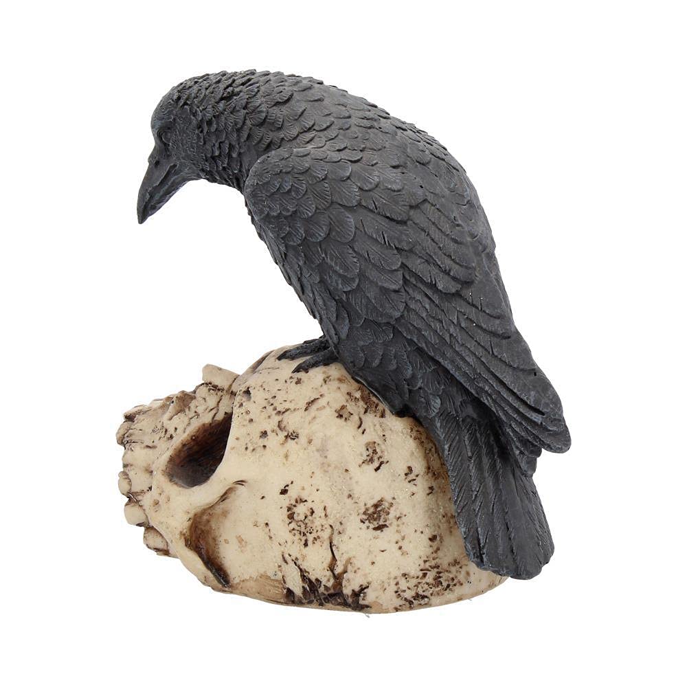 Raven Remains Figurine Crow Skull Gothic Ornament Ravens 13cm