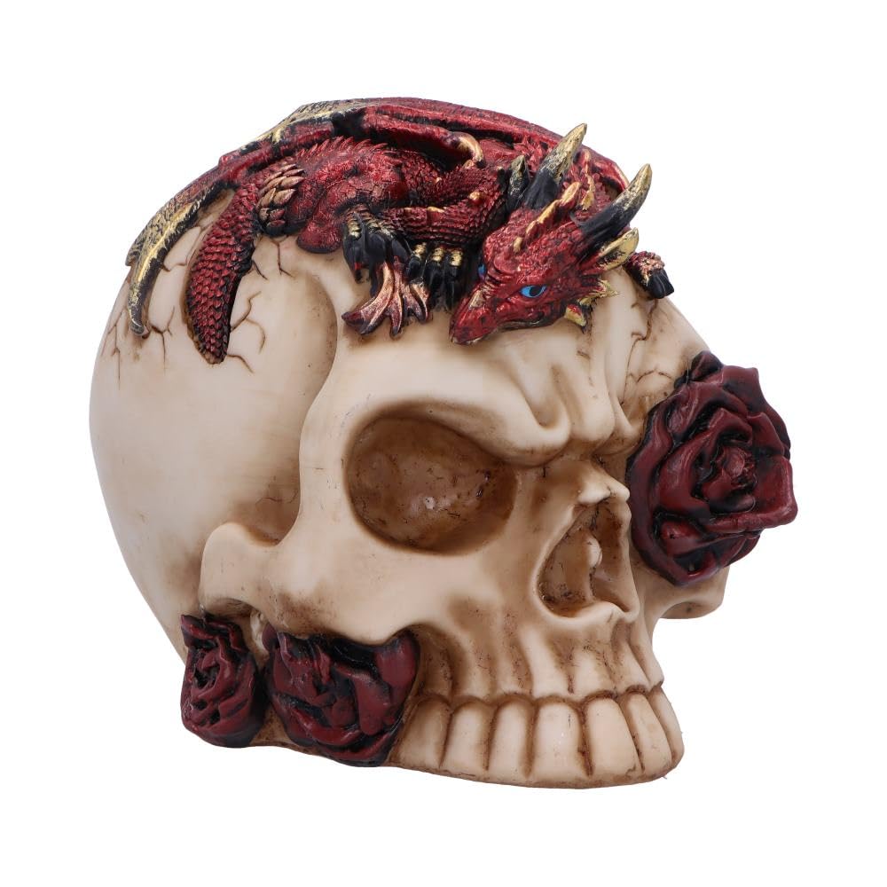 Rose Flame Decorative Skull With Sleeping Dragon 14.5cm 1