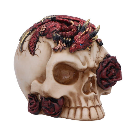 Rose Flame Decorative Skull With Sleeping Dragon 14.5cm 1