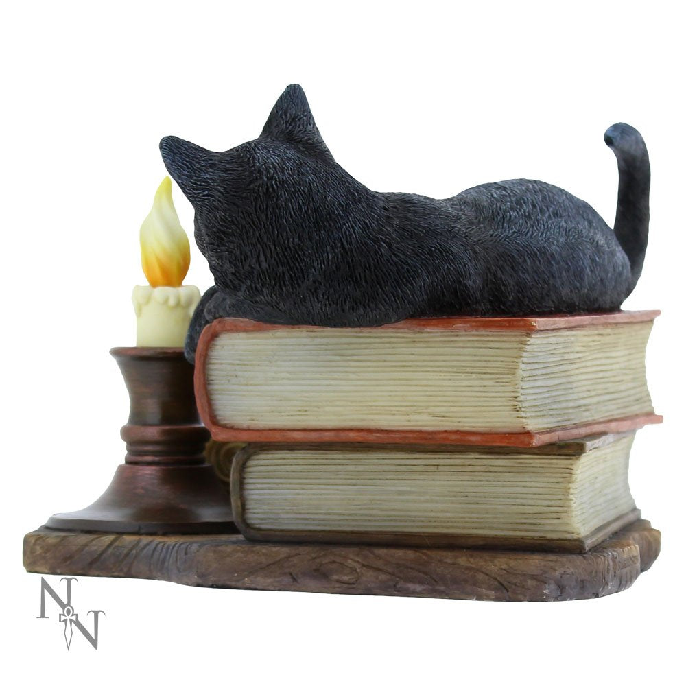Witching Hour Cat Figurine by Lisa Parker Black Candle Ornament 20.5cm