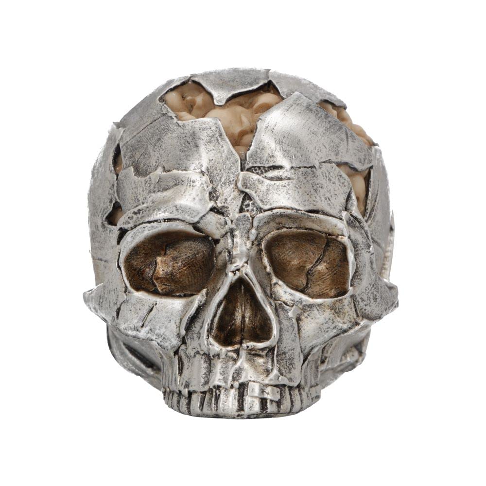 Small Alternative Fracture Skull 11cm 3