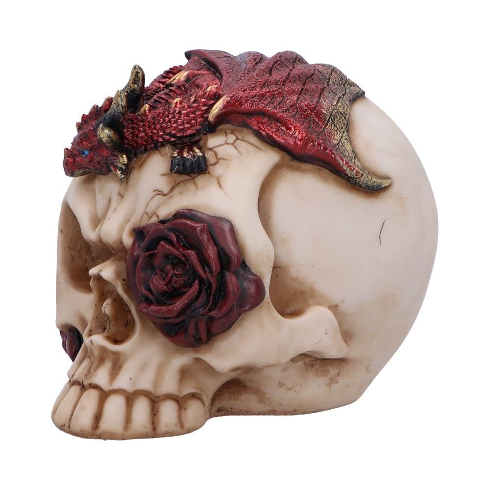 Rose Flame Decorative Skull With Sleeping Dragon 14.5cm 3