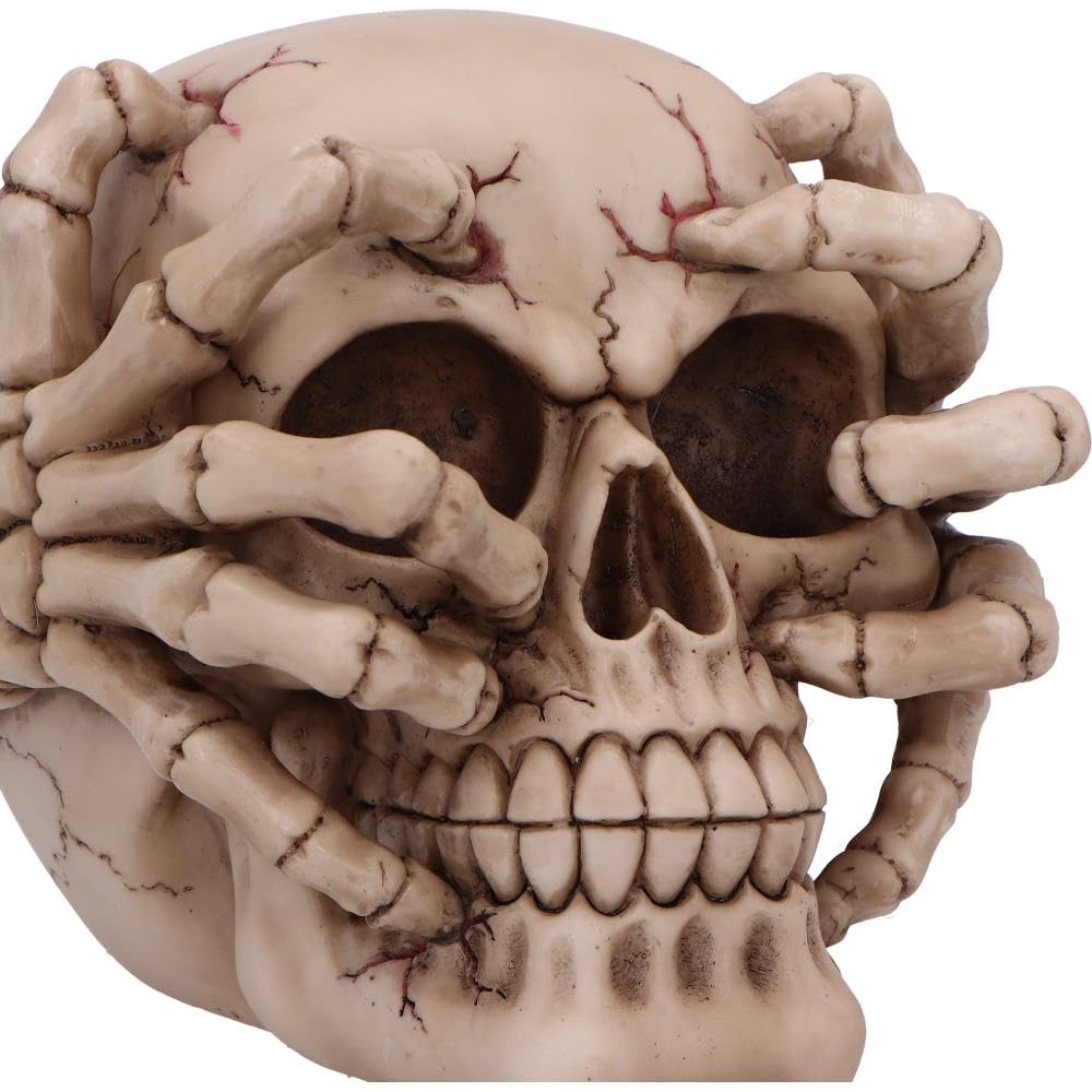 Cracked Decorative Resin Skull 15cm 5