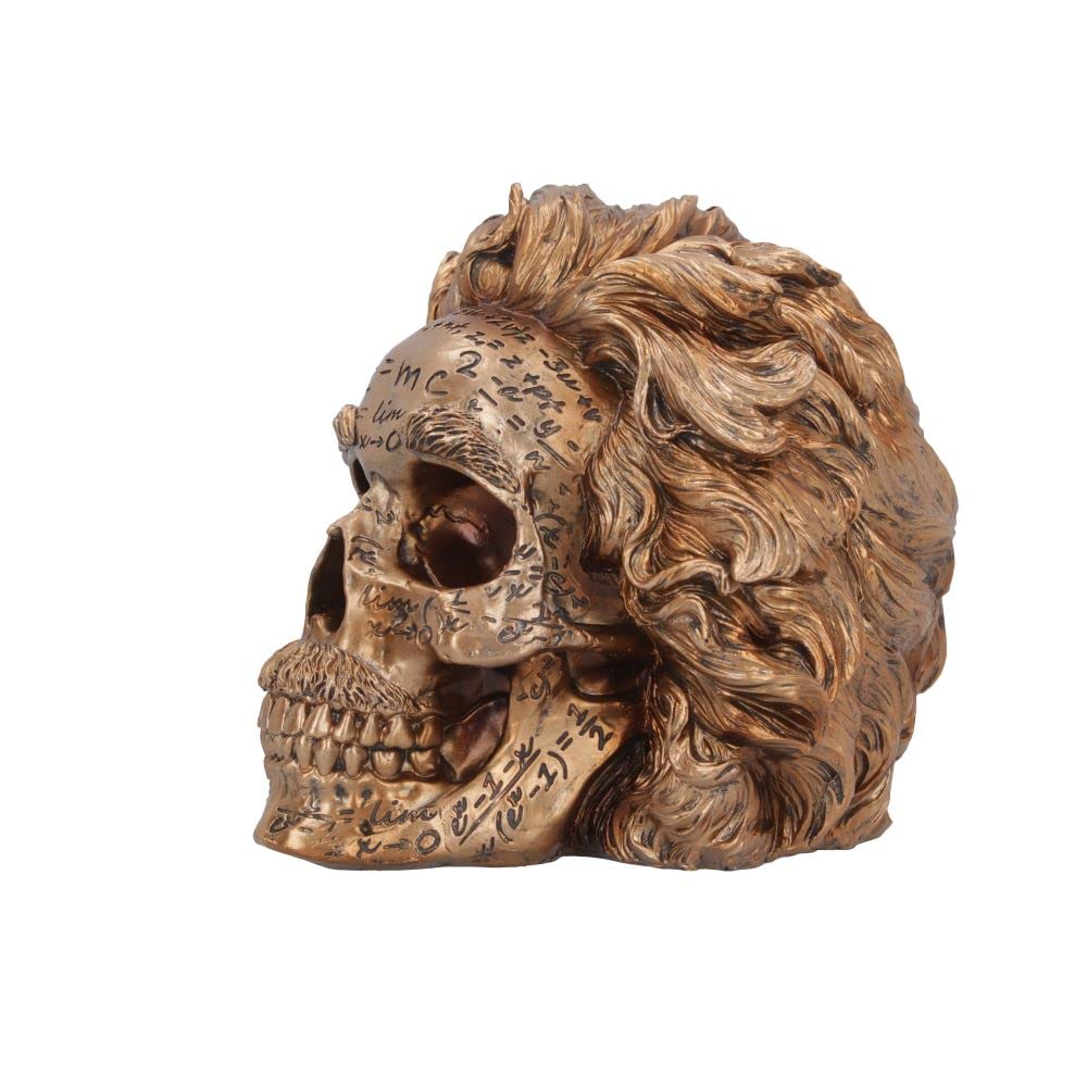 The Theory of Relativity Bronze Einstein Skull 21cm 4