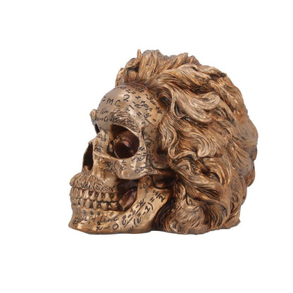 The Theory of Relativity Bronze Einstein Skull 21cm 4
